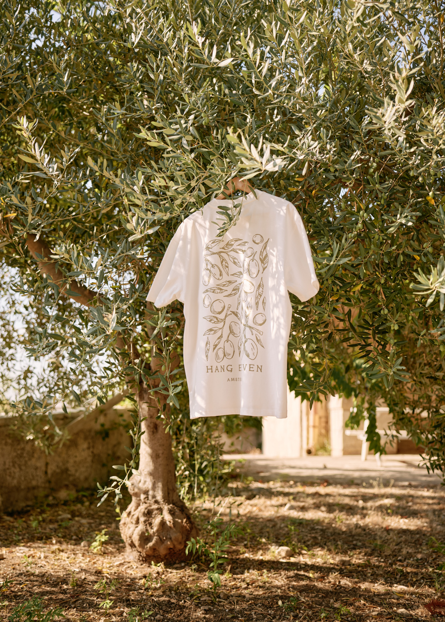 Olive Tee - Off White