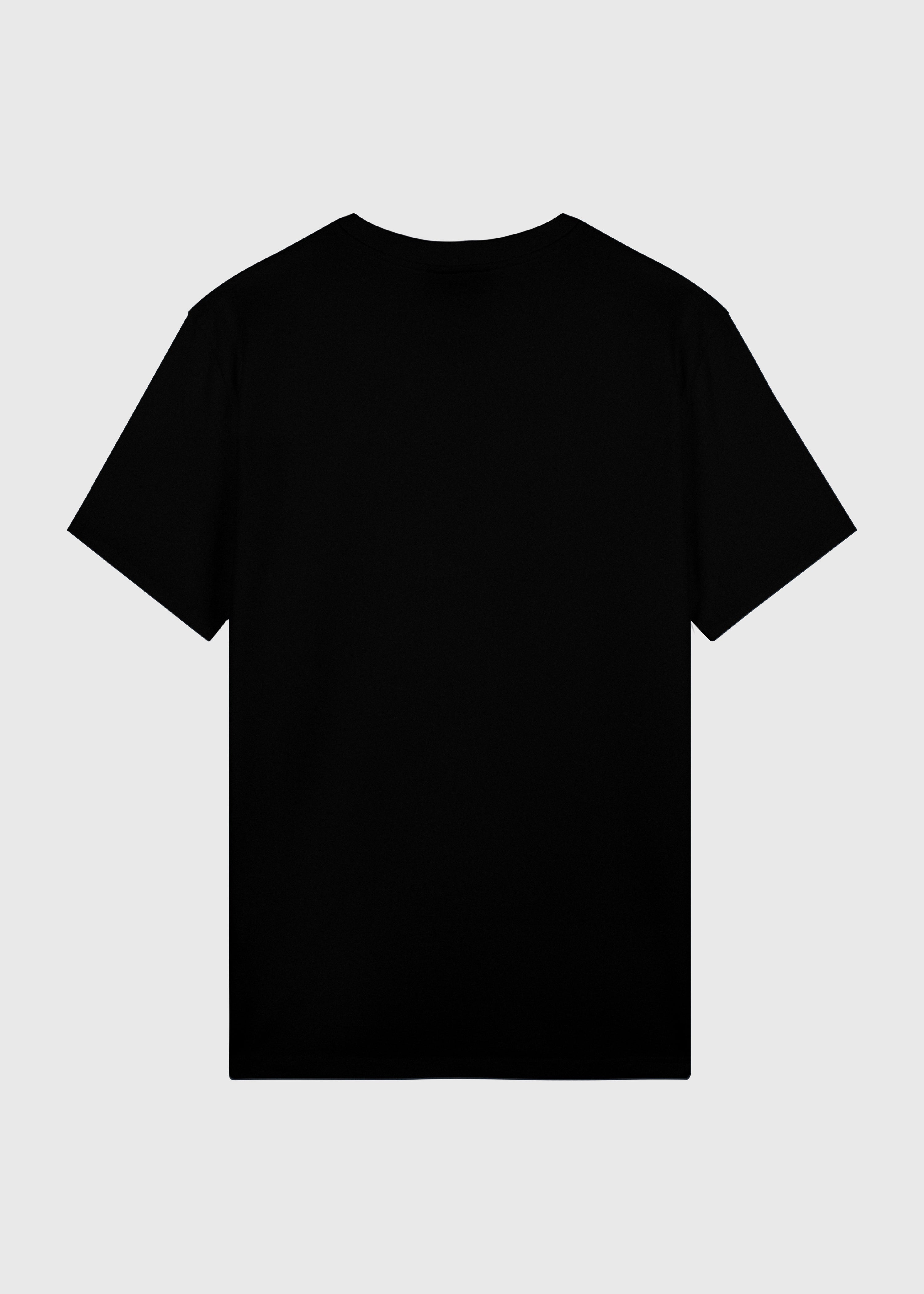 Heavy Regular Premium Tee - Black