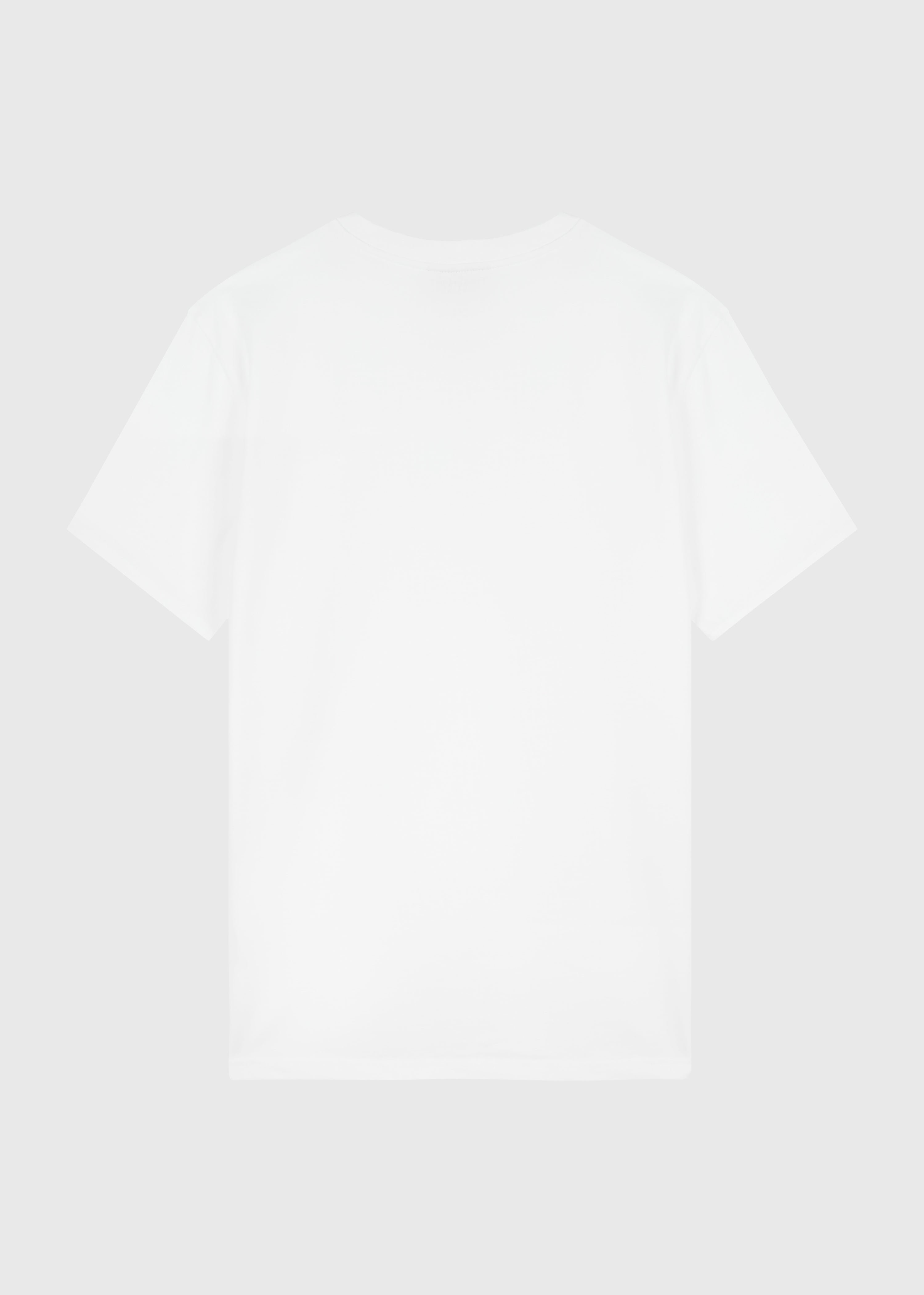 Heavy Regular Premium Tee - White