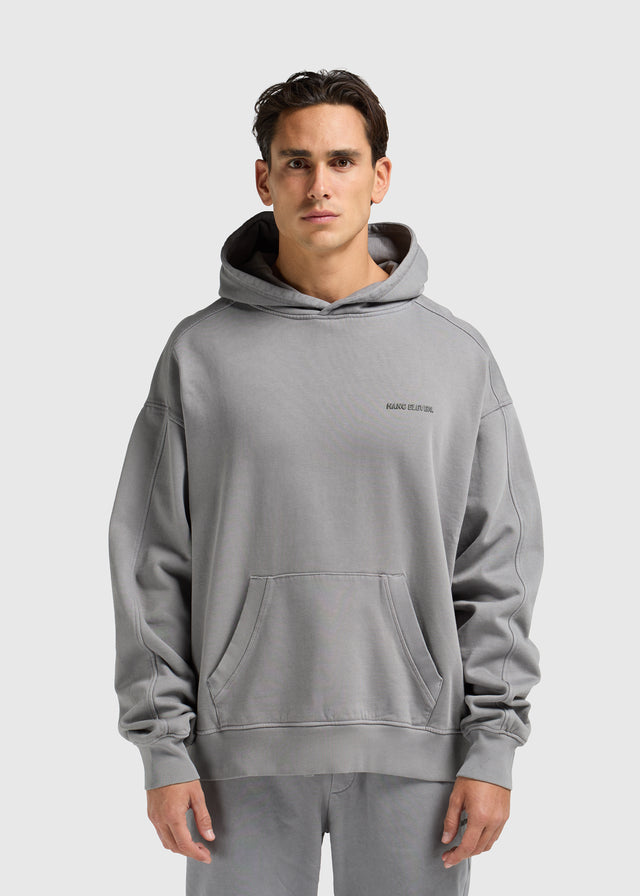 Sweat à capuche Premium Blanks - Gris délavé