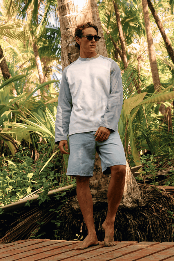 Colour Block Longsleeve - Dove