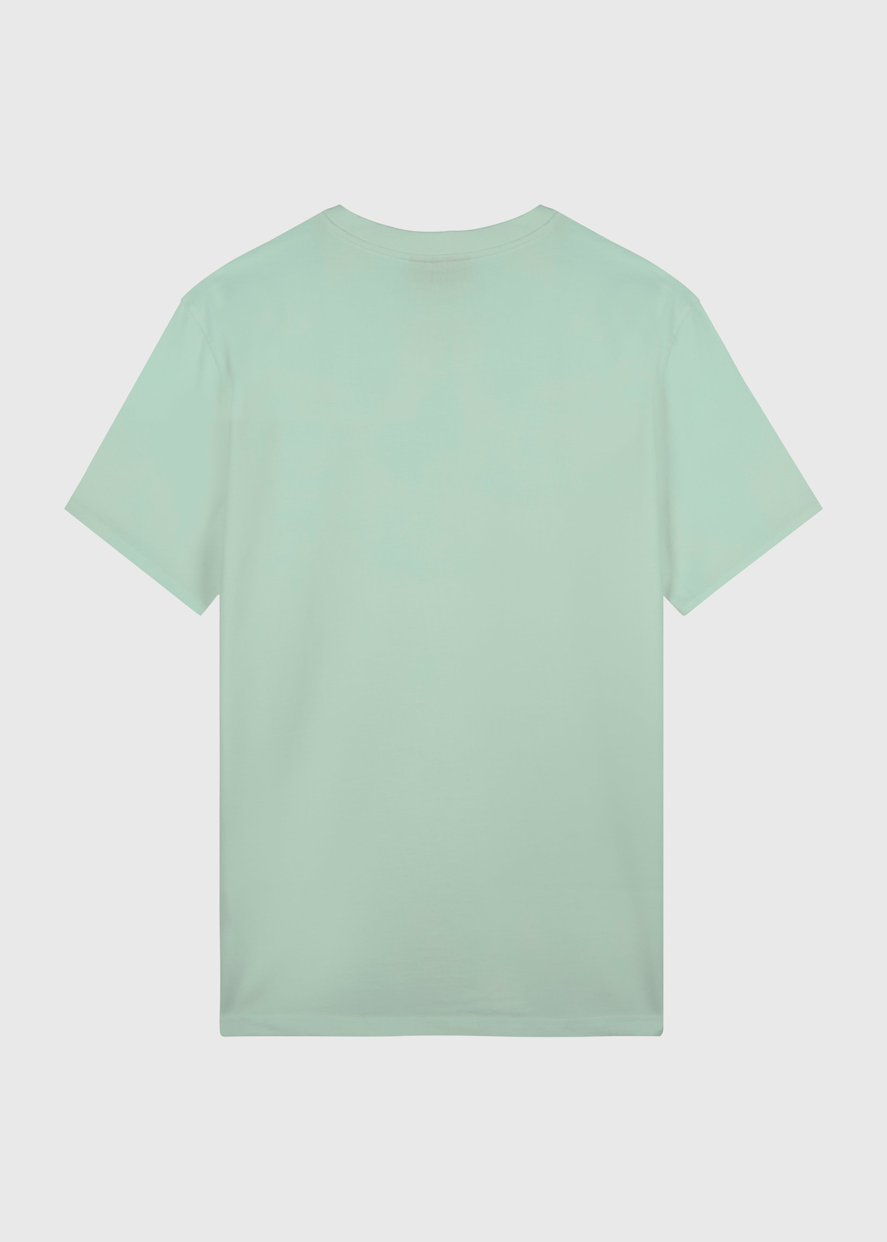 Heavy Basic Tee Regular Fit - Sage Green – Hang Eleven