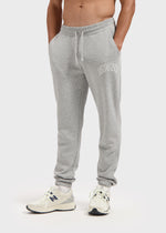 Loose Jogger Pant - Light Grey